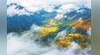 草木流韵　山河入画