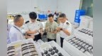同比增长12.9%！前7月鹰潭出口眼镜及其零件4.1亿元