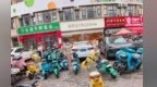 赣州九曲河路共享单车乱停放挡道 章贡区城管局回应