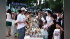 光影盛宴将启！新民大街秒变“创意片场”，今晚接着嗨！