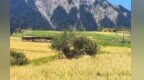 秋收扎尕那　看世界“最佳旅游乡村”金色农忙图景