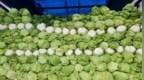 “甲醛白菜”凸显食品安全全链条监管中的短板