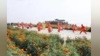 兰州新区：花海逐光　解锁田园“丰”景