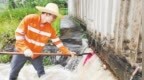 台风“沙德尔”来袭 南铁启动防台风Ⅱ级应急响应（图）