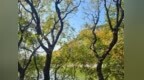 姚三石丨绿水青山四十首（诗/影）