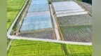 品牌影响力升至全国第5位！“井冈山”农产品明起有法护身