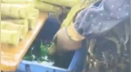 兰州榆中通报“莴笋收购环节染色”