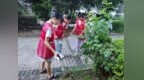 蹲草丛扒砖缝，还挨户敲门！镇海这群小朋友很较真