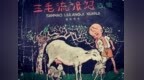 “三毛之父”在江西的“战斗”岁月