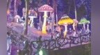 2026年前7月婺源文旅数据亮眼 全链条升级释放经济发展新活力
