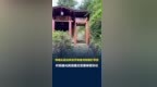 村民曝如是书院违建还签署保密协议，村民称很多家长都跪着听如平上课