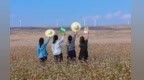 甘肃环县正上演着一场现实版的“雪满山川”