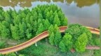 瑞金：口袋公园 绿道蜿蜒（图）