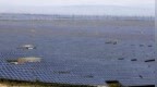 中国光伏影响鸟类？Science论文怎么也搞标题党…