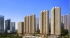 实探京沪深楼市，周末中介带看量多起来了