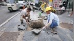 信阳城管：市民“随手拍” 部门“马上办” 守护群众“脚下安全”