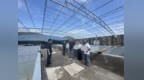 闻“风”而动 精准帮扶 市渔业主管部门积极开展台风灾后技术指导