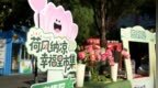 荷风纳凉传文明 邻里共聚暖民心  ——奋斗社区“幸福里市集”激活新时代文明实践新活力