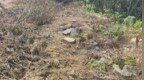 男子扫墓发现祖坟被挖，“18座坟，有8座被挖了”