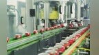 制造变“智造”　甘肃临泽技改破瓶颈