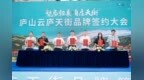 “望庐归来，自在天街” 庐山云庐天街开启文旅消费新场景