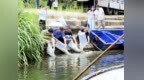 安徽省休宁县：开展增殖放流活动 守护渔业生态资源