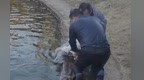 散步途中勇救溺水儿童 景德镇教师付洪萍荣登“中国好人榜”