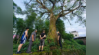 500岁古樟“出圈”！萍乡这个村把生态保护刻进DNA，值得N刷