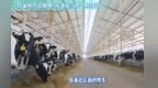 “活力中国调研行”深度探访得益乳业：解锁得益鲜境鲜牛奶、得益畅润酸牛奶、得益优麦酸牛奶三大明星产品不可复制的品质密码