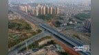上饶海关助力江西茶筅首次出口欧洲市场