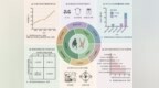 科学通报 | 中山大学范朋飞教授团队综述国家公园旗舰物种海南长臂猿保护研究进展