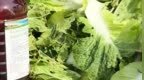 韩国：“甲醛白菜”未流入