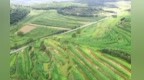 【甘快看】新华视点丨陇上种麻记