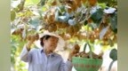 枣庄：白露时节果满枝头