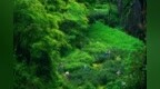 「丑」景区们，请向武夷山看齐