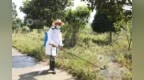 峡江县启动汛后防疫工作 奔赴乡镇开展消杀