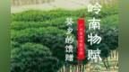 岭南物赋 ｜葵乡的馈赠