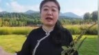 香气猎人｜跨越秦岭到张家界，在山野间寻觅香药草木