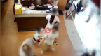 人民日报：4岁男童的肢体接触，不是制造流量漩涡的素材