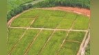 昔日矿坑变身良田！上高县向撂荒地“亮剑” 5年新增耕地4692亩