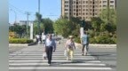 兰州新区试点手按式行人过街红绿灯　按需响应人车双赢