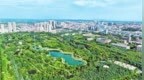 洛阳市孟津城区：城市街头绿意不断延伸