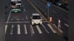 新余这10辆车不礼让行人被无码曝光