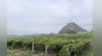 【甘快看】产业兴村　就业留人