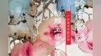 岭南物赋 ｜粉雕玉琢是莲雾