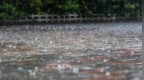 青海省发布暴雨橙色预警