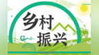 真金白银充实乡村振兴“钱袋子”