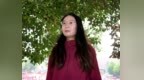 少林小龙武校初中部学生吴梓轩：我的老师