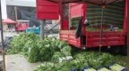 染色风波引发榆中莴笋产业阵痛：收购价掉了大半，已有菜烂在地里