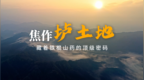 焦作垆土地，藏着铁棍山药的顶级密码